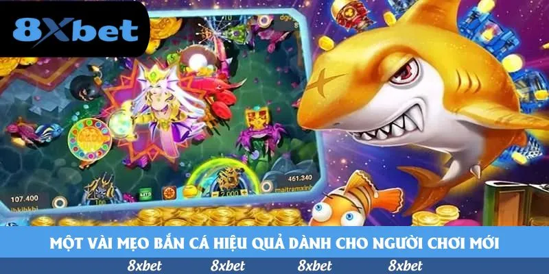 8xbet - rút tiền haywin