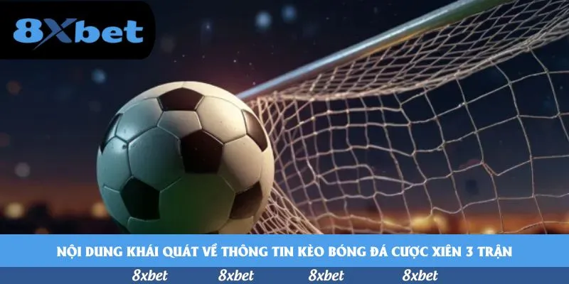 8xbet - cf68 sập