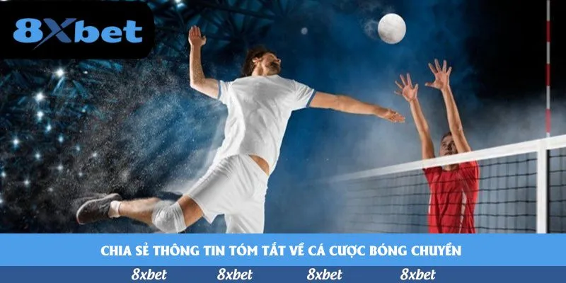 8xbet - 8xbet đại lý