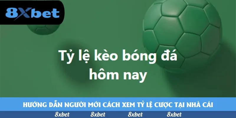 8xbet - download tải m88 vin