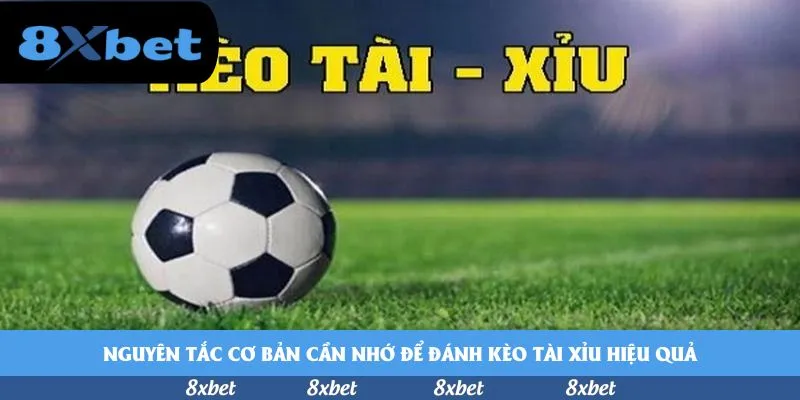 8xbet - cách bào cỏ bóng đá