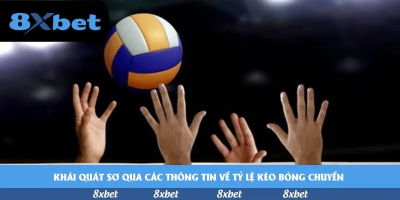 8xbet - trang lô đề uy tín nhất