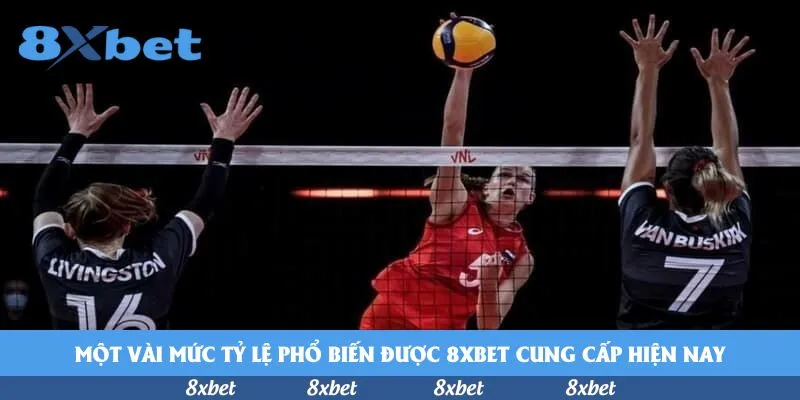 8xbet - five88 tạo tài khoản